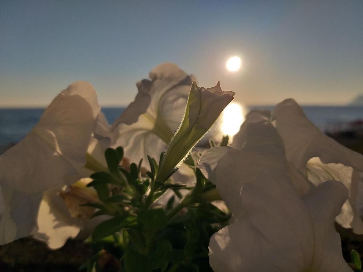 Nereides Apartments Agios Gordios  Buitenkant foto